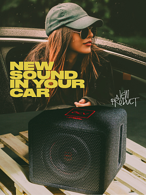 Active subwoofer 10" 2200 W