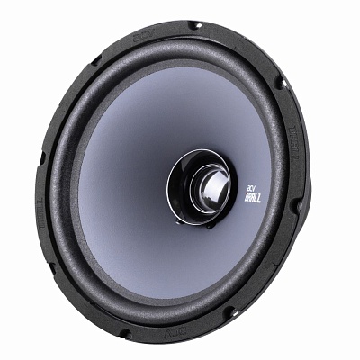 10-inch full-range speaker system