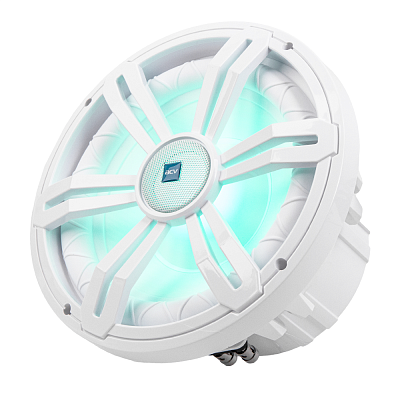 Subwoofer 10" (250mm) with Adjustable RGB Lighting for Marine Transport