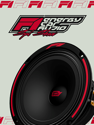 SPL SHOW 6,5" Midrange