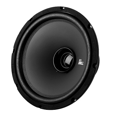 10-inch full-range speaker system