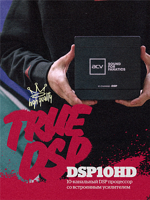 10-channel DSP processor with built-in amplifier